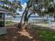 Tranquil backyard with lake access, dock, and mature oak trees at 914 Mangham Rd, Babson Park, FL 33827