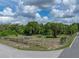 Corner lot featuring mature trees, offering a unique and desirable property with potential at 914 Mangham Rd, Babson Park, FL 33827