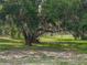 Expansive lot with mature trees and lush green grass, creating a serene and private setting at 914 Mangham Rd, Babson Park, FL 33827