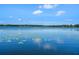 Scenic view of the tranquil lake featuring a calm blue surface reflecting the clear sky and scattered lily pads at 1836 Woodpointe Dr, Winter Haven, FL 33884