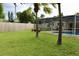 Spacious backyard featuring lush green lawn, a screened-in pool area, and mature palm trees at 217 Shore Loop, Winter Haven, FL 33884