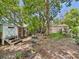 Overgrown backyard with mature trees, lush greenery, and sheds providing ample outdoor space at 2418 W 1St St, Sanford, FL 32771