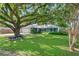 Charming single-story home with a lush green lawn and a large, mature shade tree in the front yard at 4125 Sunny View Dr, Lakeland, FL 33813