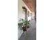 Hallway view with a potted plant and a brown front door at 7201 Country Club Dr # G21, Lake Wales, FL 33898