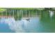 Scenic view of a black swan swimming in the pond surrounded by lush landscaping and blue skies at 7201 Country Club Dr # G21, Lake Wales, FL 33898