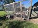 Outdoor chicken coop for fresh eggs at 1004 Country Oaks Ln, Lakeland, FL 33810