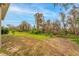 Large backyard with mature trees and grassy area at 7838 Sloewood Dr, Leesburg, FL 34748