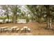 Large backyard with picnic tables and shed at 16546 7Th St, Montverde, FL 34756