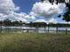 Lush backyard leading to a serene waterfront with lily pads and a private wooden dock at 55808 Nan Dr, Astor, FL 32102