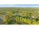 Expansive aerial view showcasing the property's location amidst lush greenery and a serene lake at 2449 E Lake Dr, Deland, FL 32724