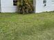 View of side yard showcasing grass and palm tree at 309 Old Mission Rd, New Smyrna Beach, FL 32168