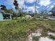 Yard showcasing vegetation at 309 Old Mission Rd, New Smyrna Beach, FL 32168