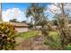 Lawn with some trees at 3215 Roscoe Ave, Lakeland, FL 33803