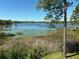 Scenic water view of a lake with lily pads and lush vegetation from a picturesque vantage point at 800 Stephens Pass Cv, Lake Mary, FL 32746
