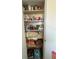 Pantry closet with shelving filled with assorted household items at 1640 Juno Trl # 205B, Astor, FL 32102