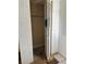 Small closet with bi-fold doors with damaged carpet, and dated flooring and walls at 24047 Ermine Rd, Astor, FL 32102