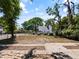 A view of a spacious yard with mature trees, offering a serene and natural outdoor space at 302 W Park St, Lakeland, FL 33803