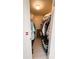 Walk-in closet with lots of hanging storage space and room for organization at 334 Palo Verde Dr, Leesburg, FL 34748