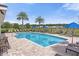 Community swimming pool area with lounge chairs and manicured landscaping at 9790 Amber Chestnut Way, Winter Garden, FL 34787