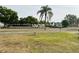 A street view of a neighborhood featuring lush greenery, mature trees, and well-maintained landscaping at 141 Aspen Cir, Leesburg, FL 34748