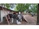 Fenced backyard with overgrown plants and items at 4202 Sunny View Dr, Lakeland, FL 33813