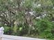 Lush trees with Spanish moss create a tranquil and private setting, enhancing the natural beauty of this property at 4814 Myrtle View N Dr, Mulberry, FL 33860
