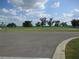 Scenic neighborhood street view featuring a landscaped median, mature trees, and lush greenery at 7157 Hazeltine Cir, Lakeland, FL 33810