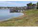 Scenic lake view with a wooden dock and lush green shoreline, lined with palm trees and neighborhood homes at 1258 Wispy Cypress Drive Dr, Kissimmee, FL 34746