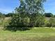 A lush green backyard featuring mature trees, green grass, and a fence on the property line at 1940 Bell Creek Loop, Fruitland Park, FL 34731