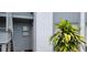A unit entrance featuring well-maintained facade and healthy outdoor plant at 2408 Lemon Tree Ln # C, Orlando, FL 32839