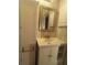 Bathroom featuring wood-look walls and vanity at 3475 Flossmoor Ave # 103, Orlando, FL 32822