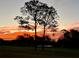 Beautiful golf course and trees against a vibrant orange sunset background at 39342 Harbor Hills Blvd, Lady Lake, FL 32159
