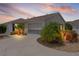 Home exterior showcasing a concrete driveway, palm trees, and manicured landscaping at 424 Valverda Dr, The Villages, FL 32162