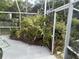 Lush poolside landscaping enhances this tranquil backyard retreat with a screened enclosure at 7406 Nolton Way, Orlando, FL 32822