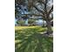 Expansive backyard with a well-manicured lawn and lush landscaping with screened patio at 12765 Se 143Rd Ave, Ocklawaha, FL 32179