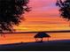 A cozy tiki hut sits on the beach, offering shade and a place to unwind with breathtaking sunset views at 12765 Se 143Rd Ave, Ocklawaha, FL 32179