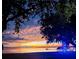 Beautiful sunset view from the waterfront property featuring a boat, tiki hut, and a festive blue Christmas tree at 12765 Se 143Rd Ave, Ocklawaha, FL 32179