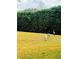 Spacious lawn featuring lush green grass, Sandhill Cranes and a dense hedge at 12765 Se 143Rd Ave, Ocklawaha, FL 32179