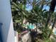 Tropical pool view surrounded by lush palm trees offering a relaxing and private experience at 7320 Westpointe Blvd # 531, Orlando, FL 32835
