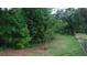Wooded backyard with mature trees and brush at 2913 Deerbrook Dr, Lakeland, FL 33811