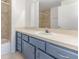 Bathroom with blue cabinets, sink, mirror, and neutral tile shower at 7863 Sugar Bend Dr # 7863, Orlando, FL 32819