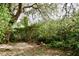 Lush backyard featuring mature trees and green foliage at 8044 Rural Retreat Ct, Orlando, FL 32819