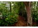 Picturesque backyard featuring a lush tropical garden with mature trees, bamboo, and a stone path at 8044 Rural Retreat Ct, Orlando, FL 32819