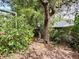 Lush backyard featuring a unique tree, foliage, and a glimpse of the home's exterior at 8044 Rural Retreat Ct, Orlando, FL 32819