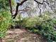 Overgrown backyard with mature trees and blossoming foliage at 8044 Rural Retreat Ct, Orlando, FL 32819