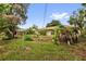 View of the backyard featuring a clothes line and some trees at 5806 Fernhill Dr, Orlando, FL 32808
