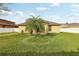 Expansive backyard with healthy grass and a large palm tree at 2703 Gullane Ct, Kissimmee, FL 34746