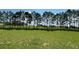 Large grassy lot with mature trees at 325 Ashley Loop, Davenport, FL 33837