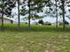 Overgrown lot with several pine trees and neighboring houses visible in the background at 325 Ashley Loop, Davenport, FL 33837