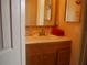 Clean bathroom with light wood vanity and a single sink at 267 Cranbrook Dr, Kissimmee, FL 34758